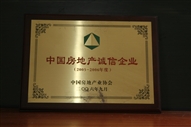 B1、中國房地產(chǎn)誠信企業(yè)2005—2006年